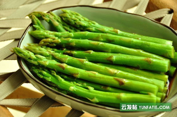 快关注！澳大利亚芦笋进出口报关清关疑难点解说！