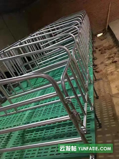 母猪限位栏单体栏猪用定位栏