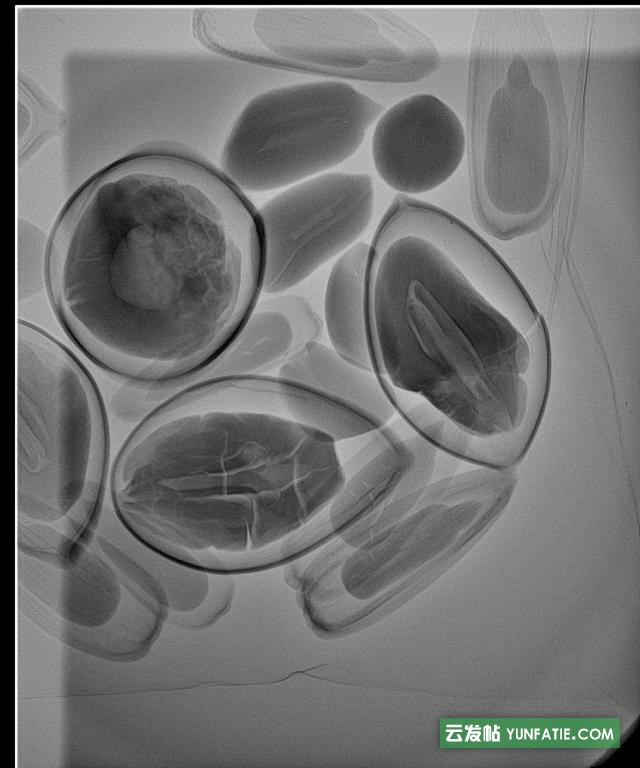 x-ray检测设备_裂纹气扎缺陷检测仪 x-ray检测设备_裂纹气扎缺陷检测仪