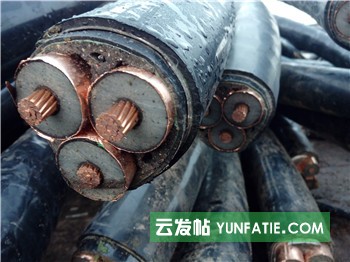 保定电缆回收公司/废电缆高价回收站点