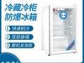 英鹏防爆冰箱-玻璃门立式冷藏柜_BL-200LC100L