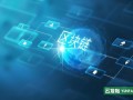 剖析合约的分类及其重要性